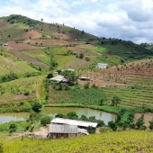 Lô đất hơn 10ha bằng phẳng, có sẵn vườn cây và trang trại bò nhỏ, rất phù hợp làm farm